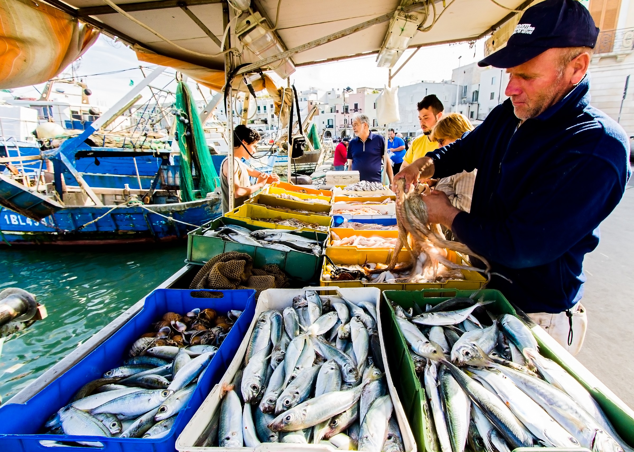 Pescatore Tranese. Trani