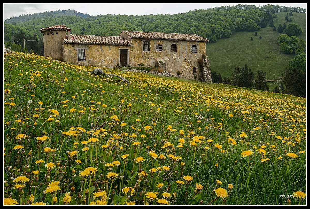 Malga loc.Novezzina - Monte Baldo