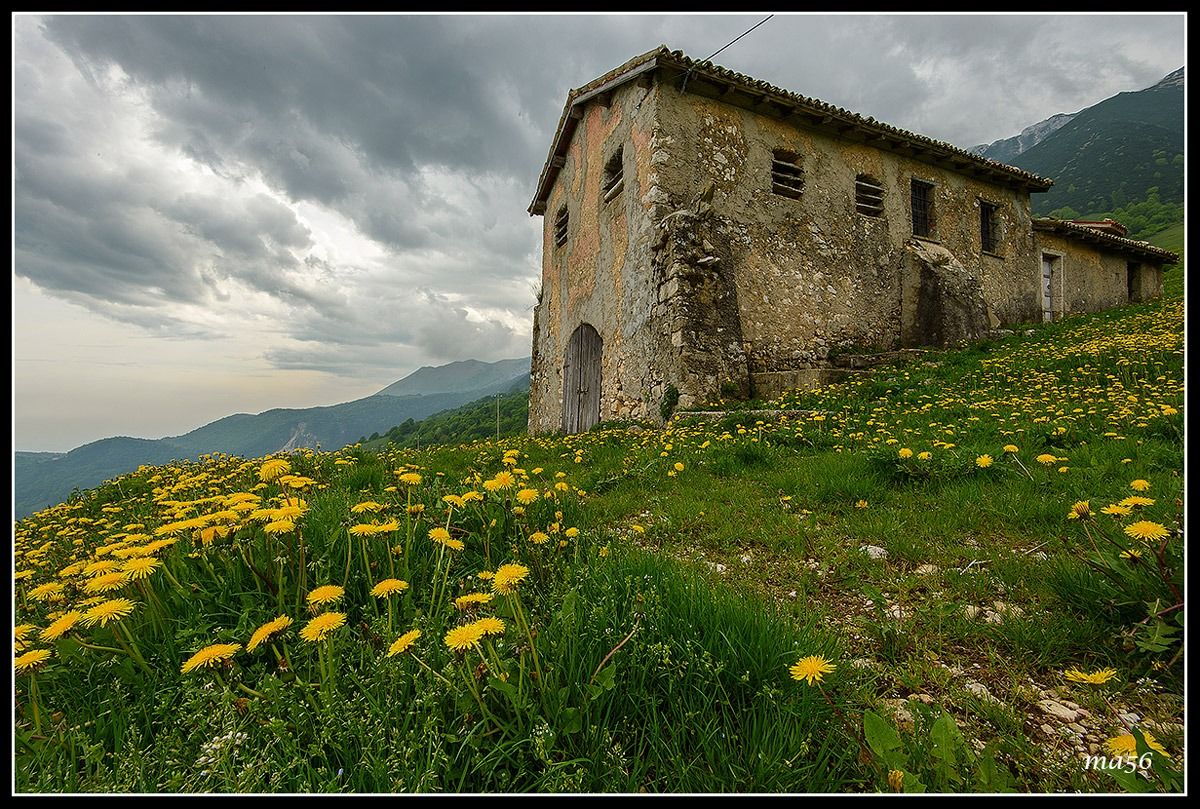 Malga loc. Novezzina - Monte Baldo