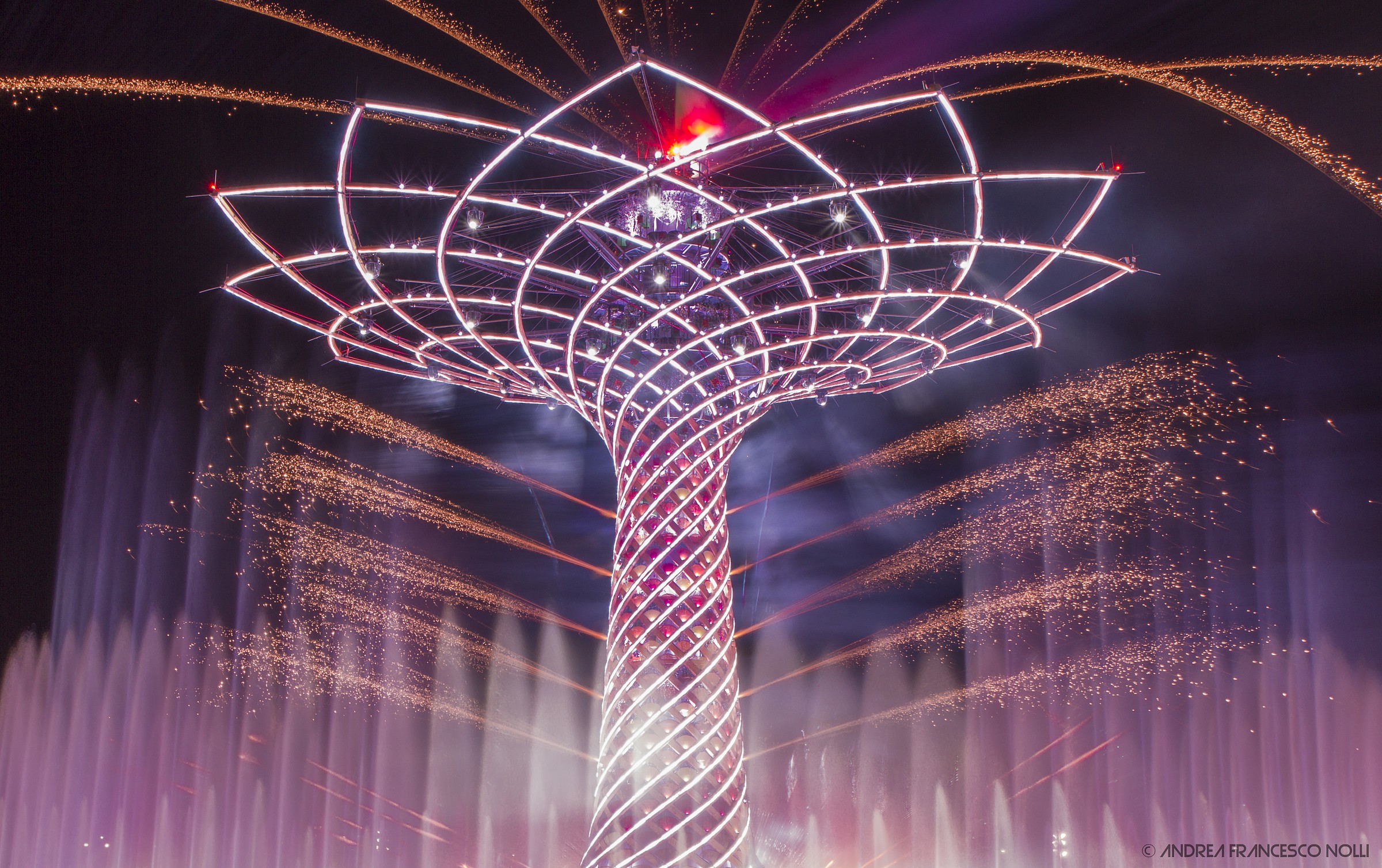 Tree of Life Tree of Life //