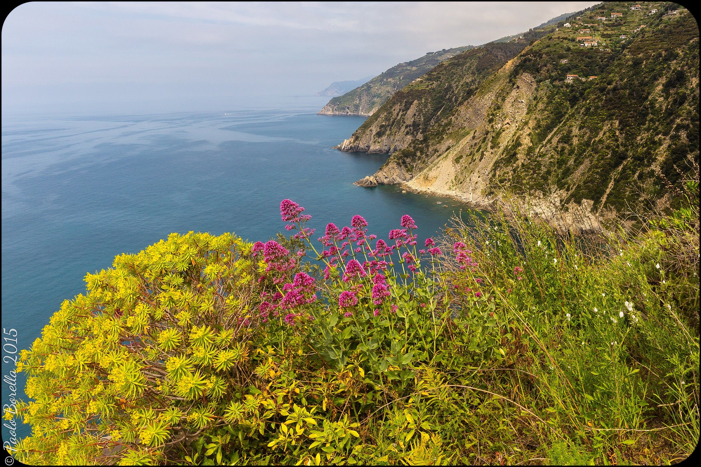 5 Terre da Campiglia