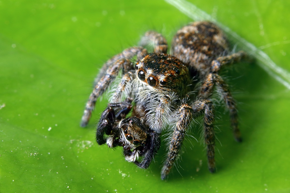 Non credo fosse amore