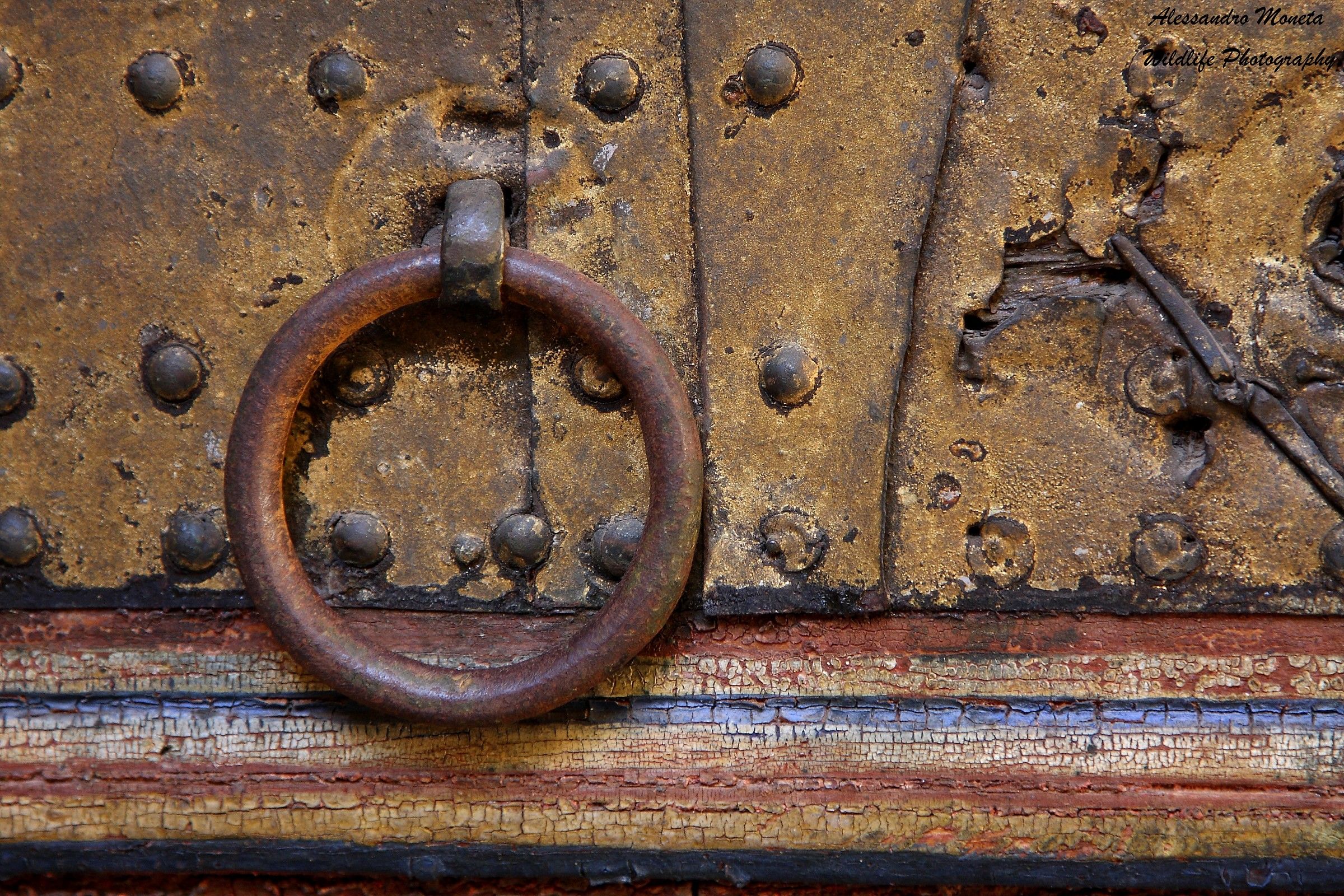 The handle Marrakech