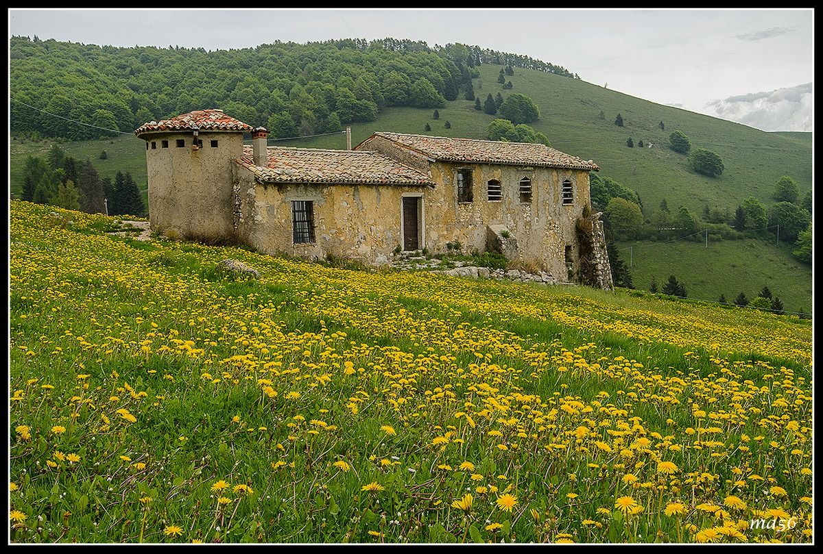 Malga loc.Novezzina - Monte Baldo