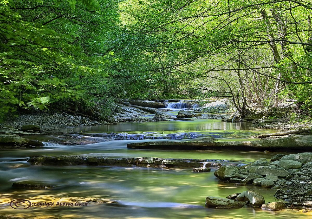 verso l' Acqua Cheta