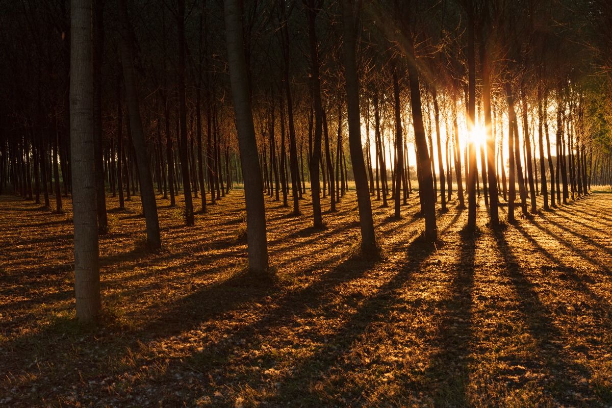 Breaking the Darkness