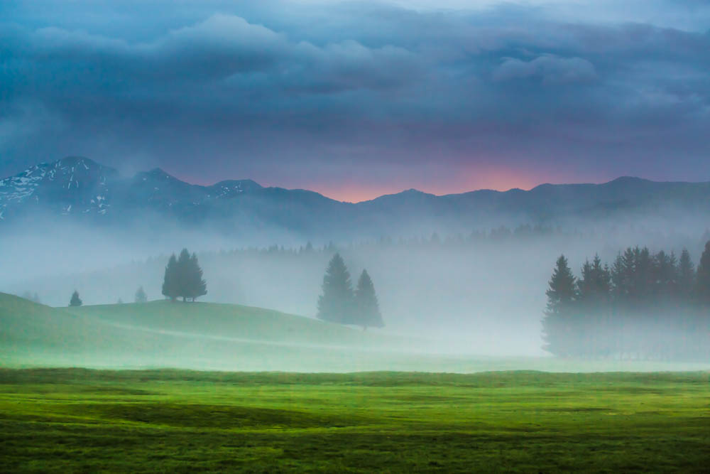 Explosion of Light through the fog