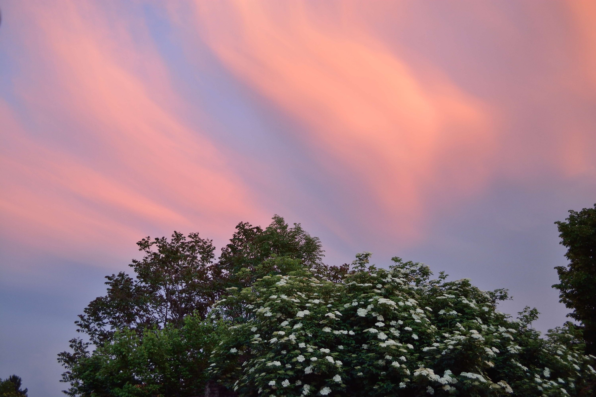 sunset from my house