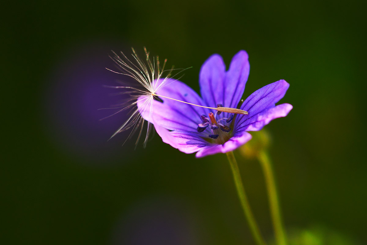 ora mi riposo un po'
