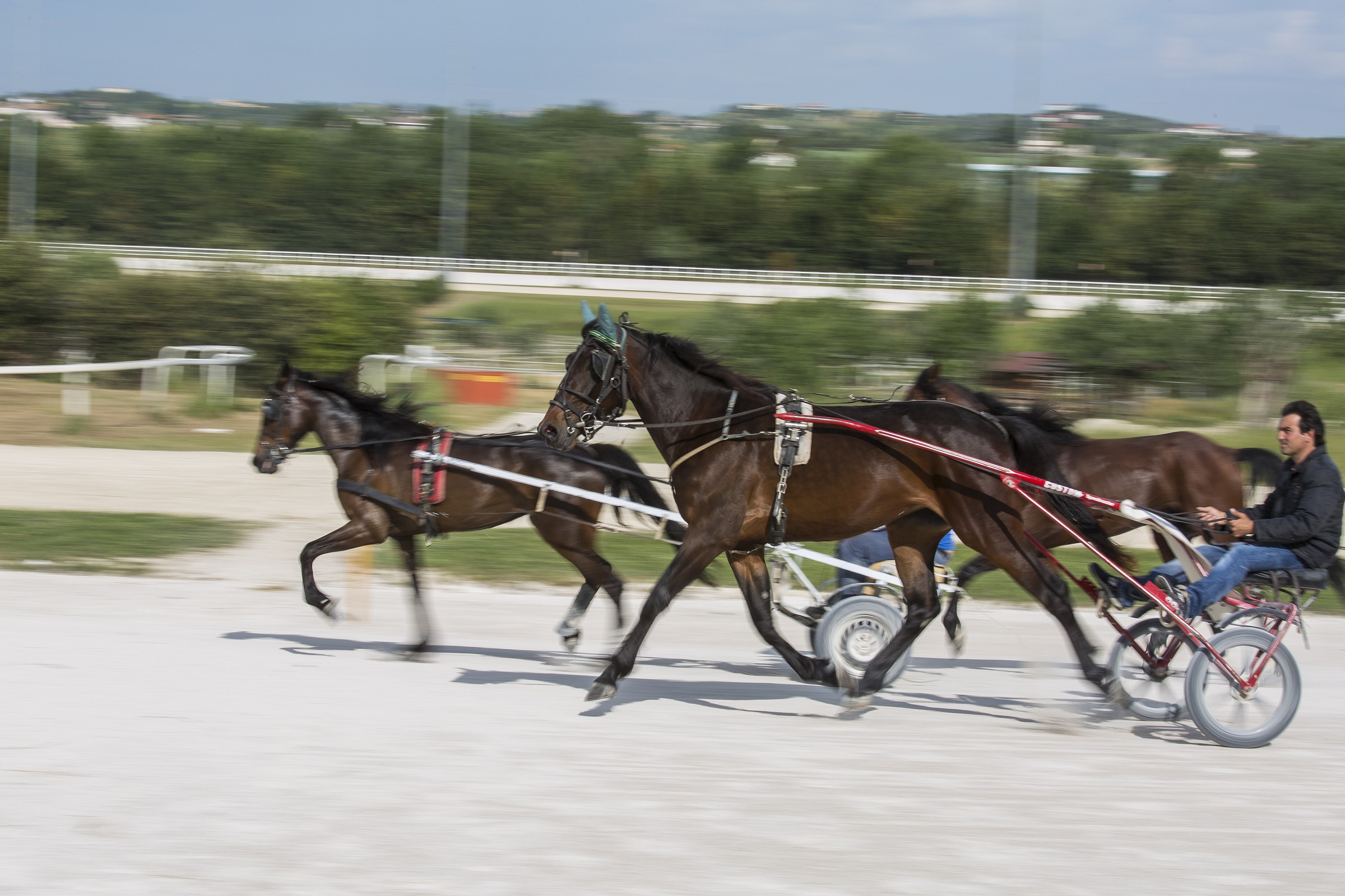Panning all'Ippodromo