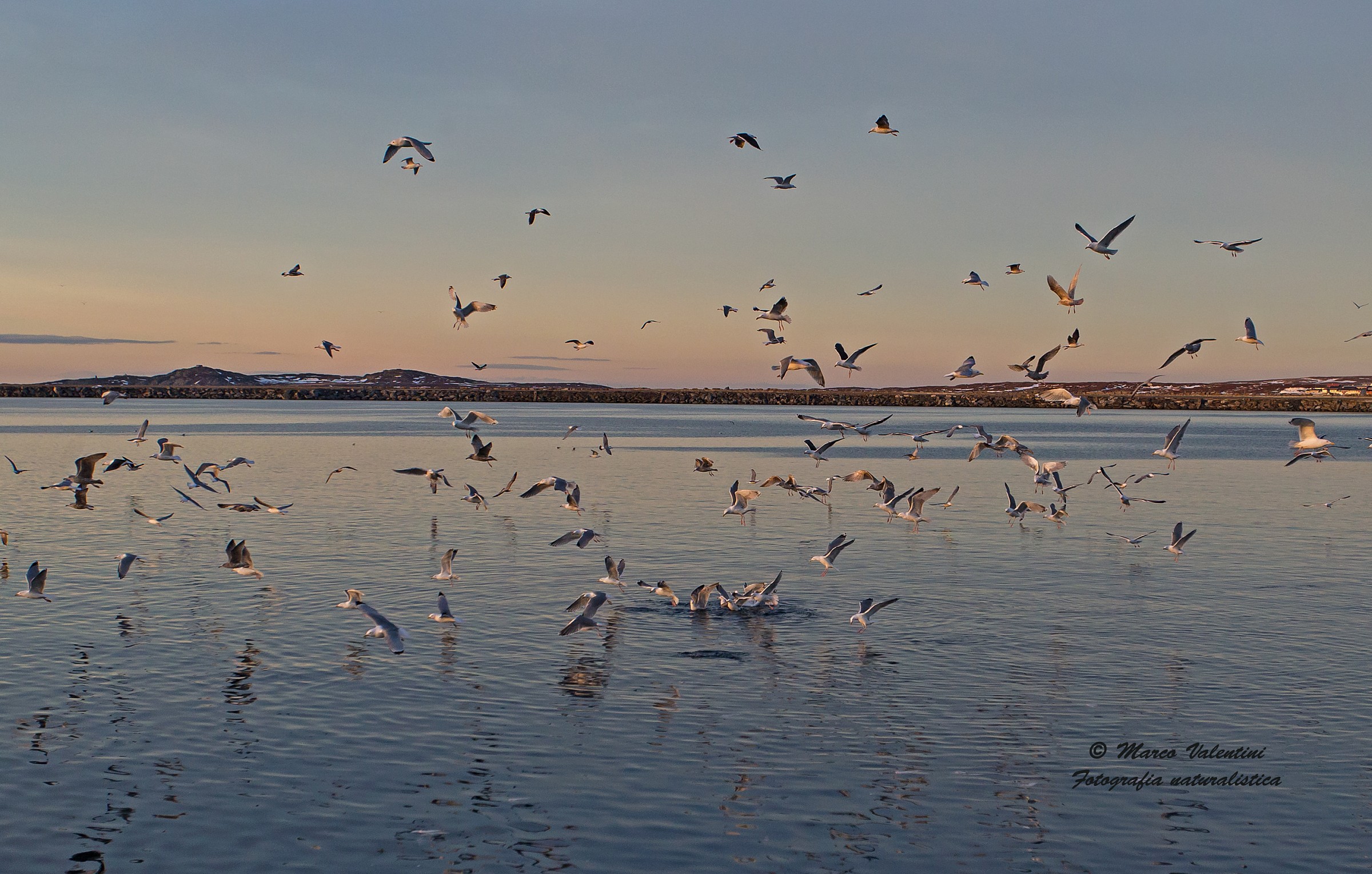 Sunset at Varangerfjord