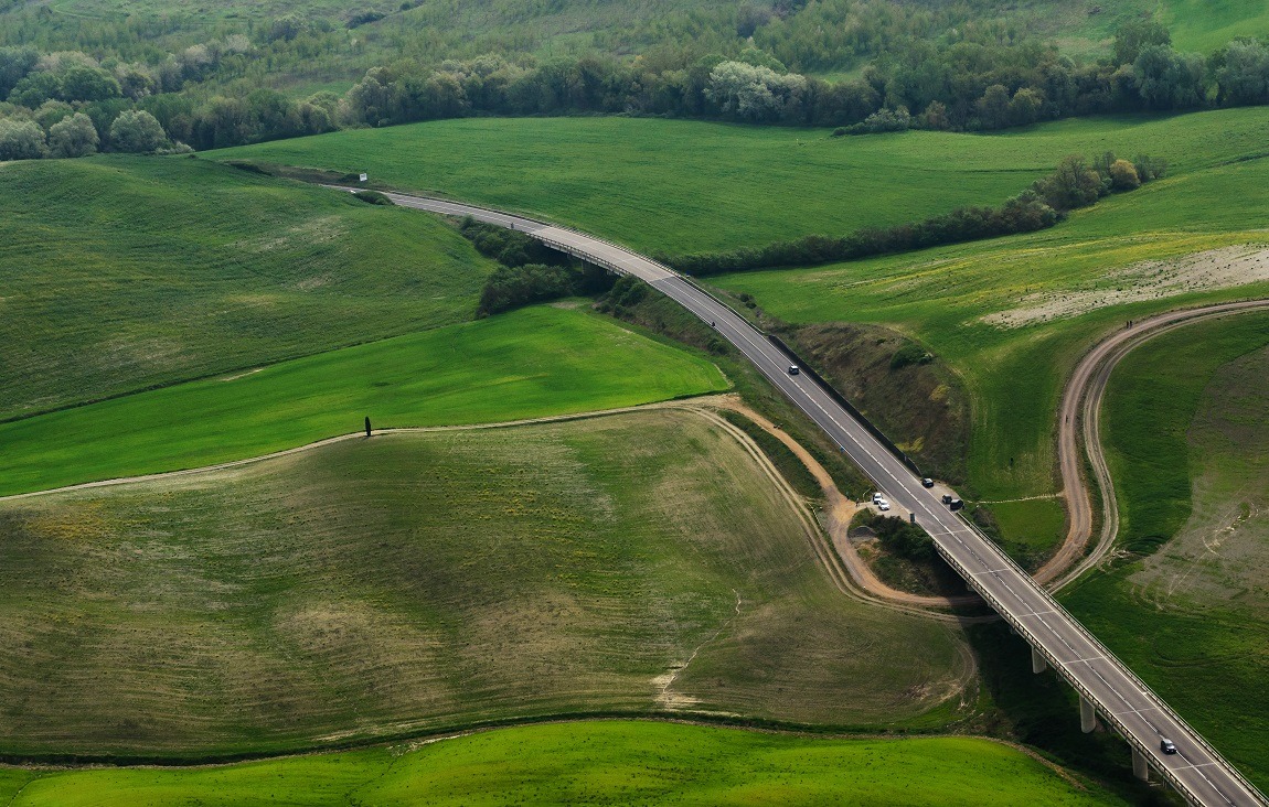 pipistrello in volo...