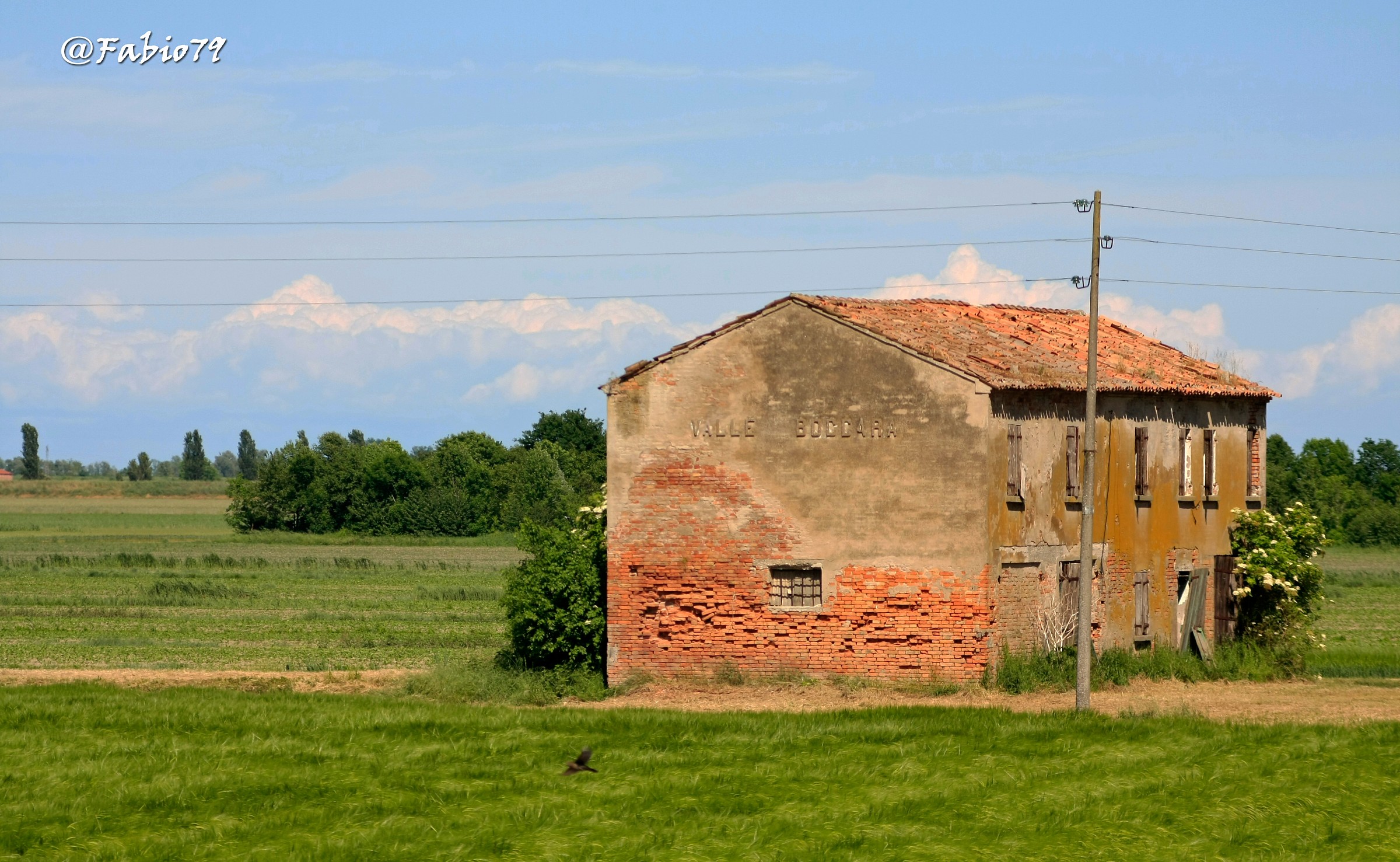 Urge Restoration ....