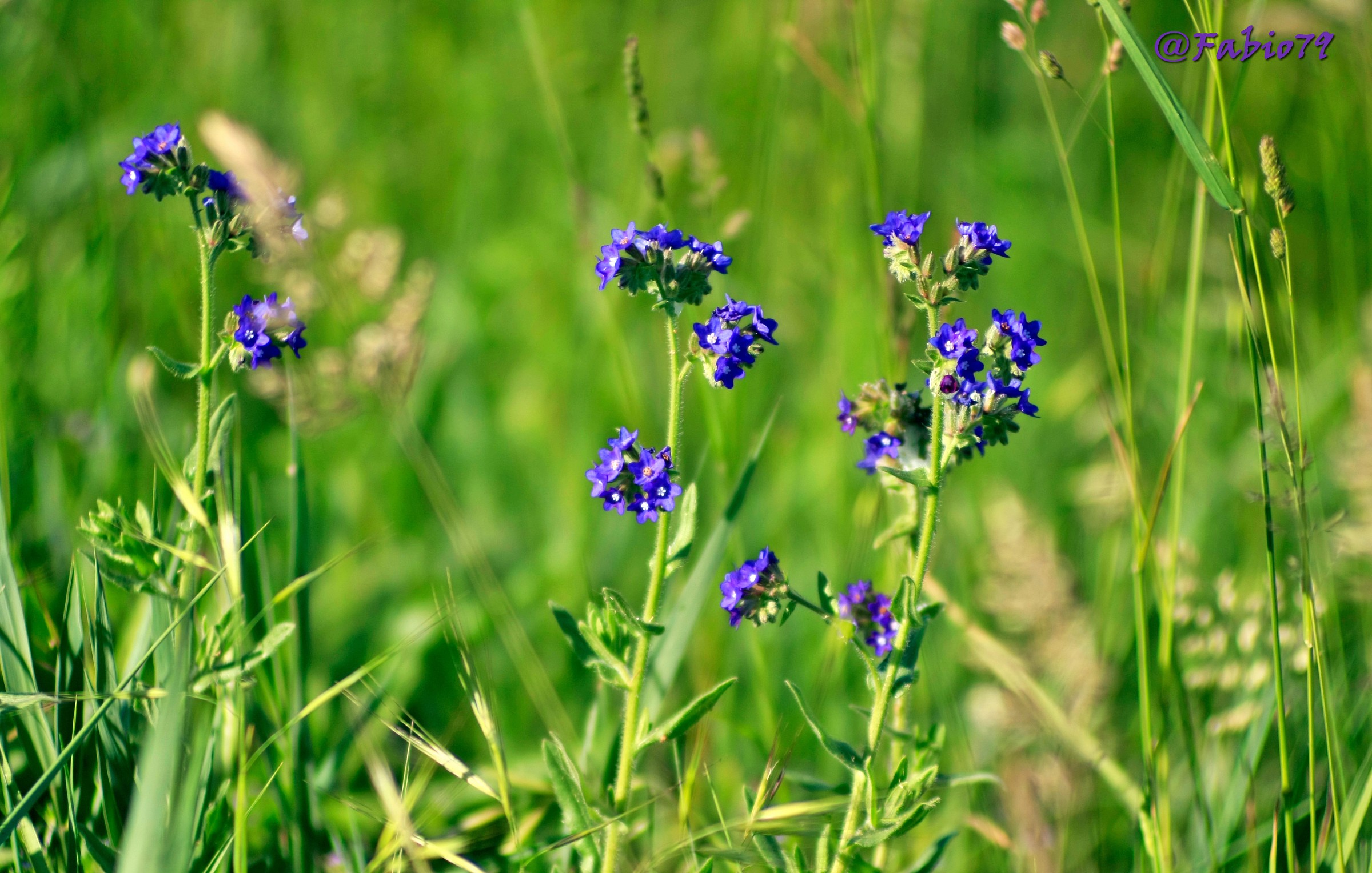 Beautiful blue painted blue.