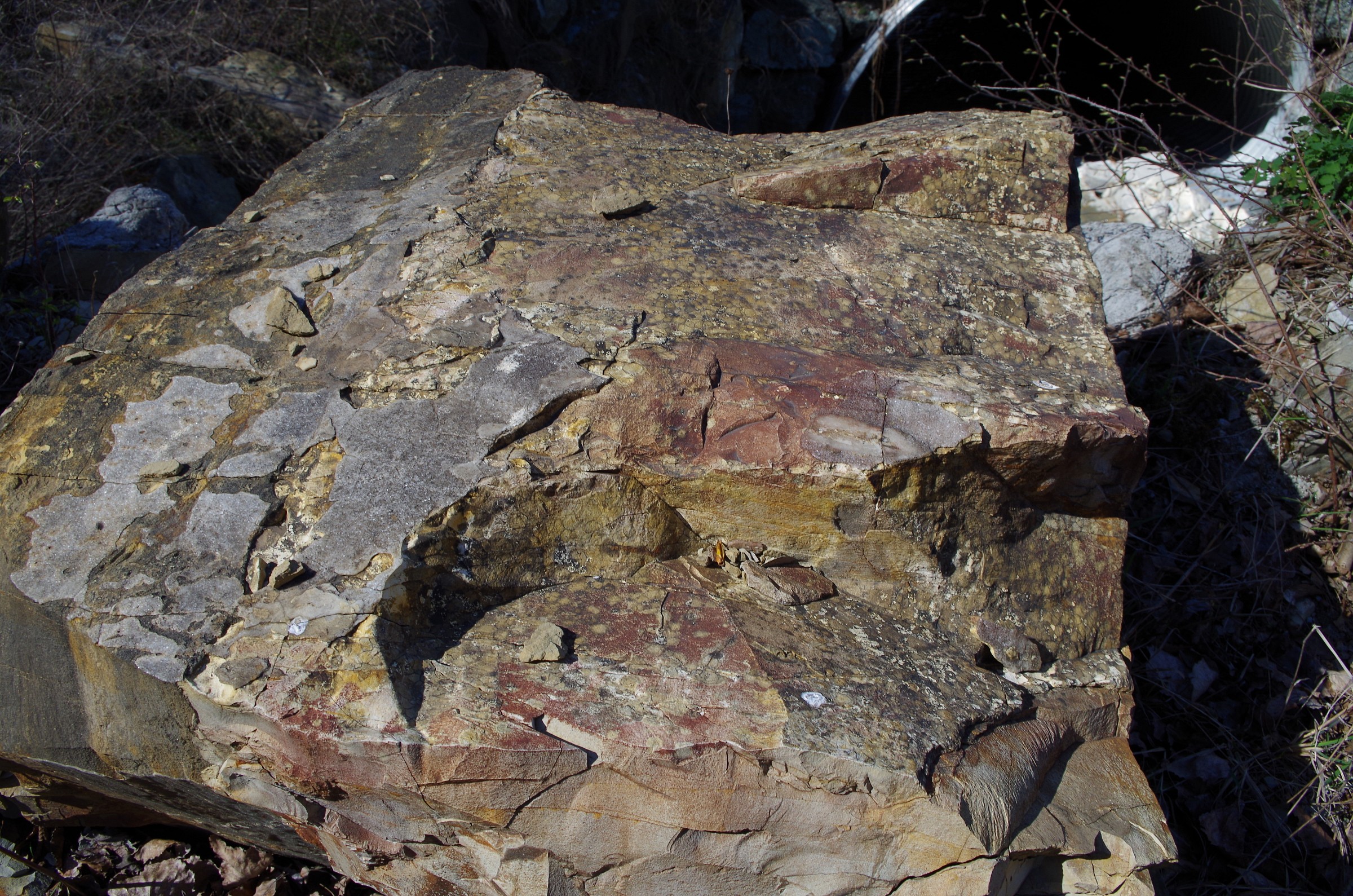 Frammenti di rocce della Val Taro - loc. Corninana).