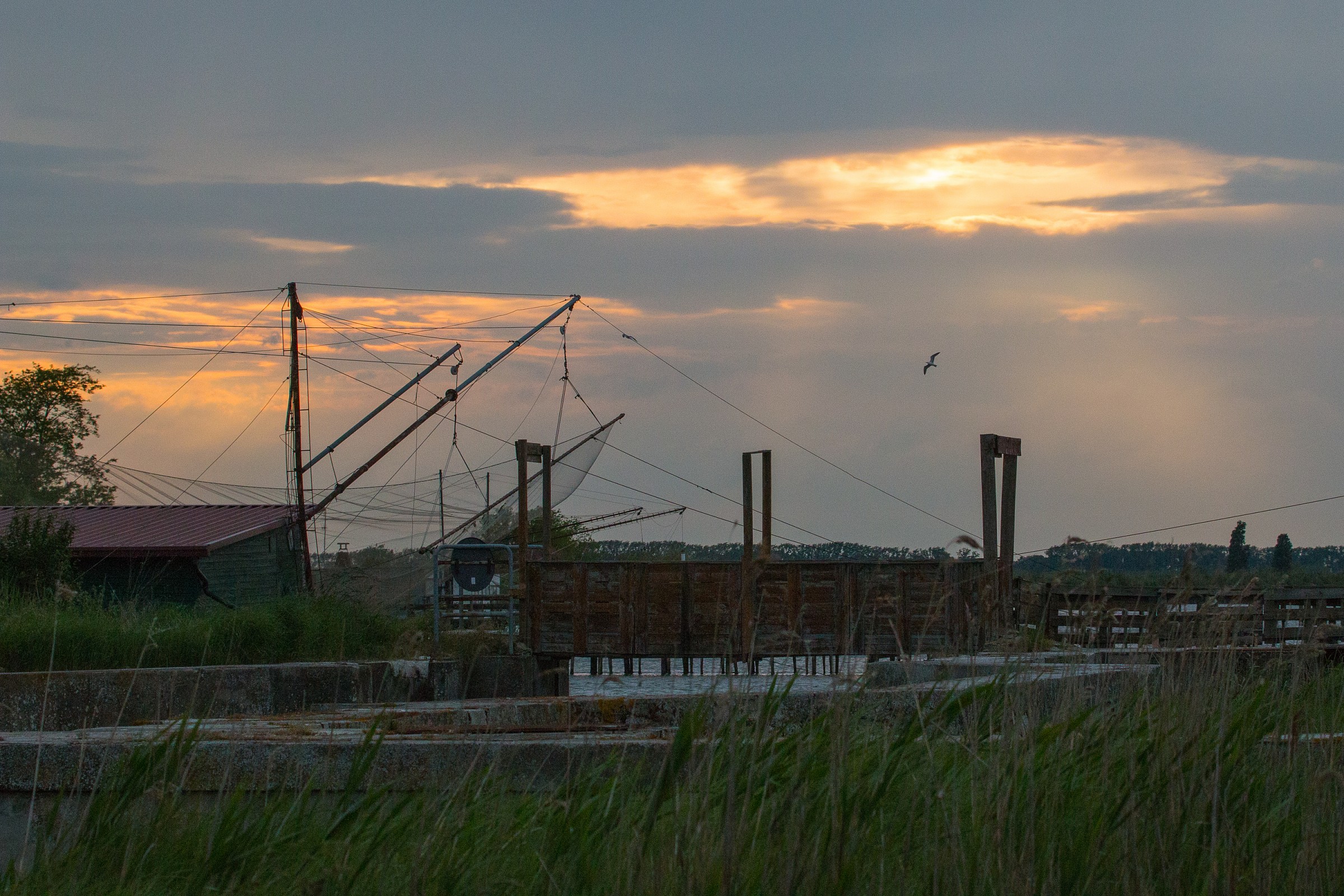 Valleys of Comacchio
