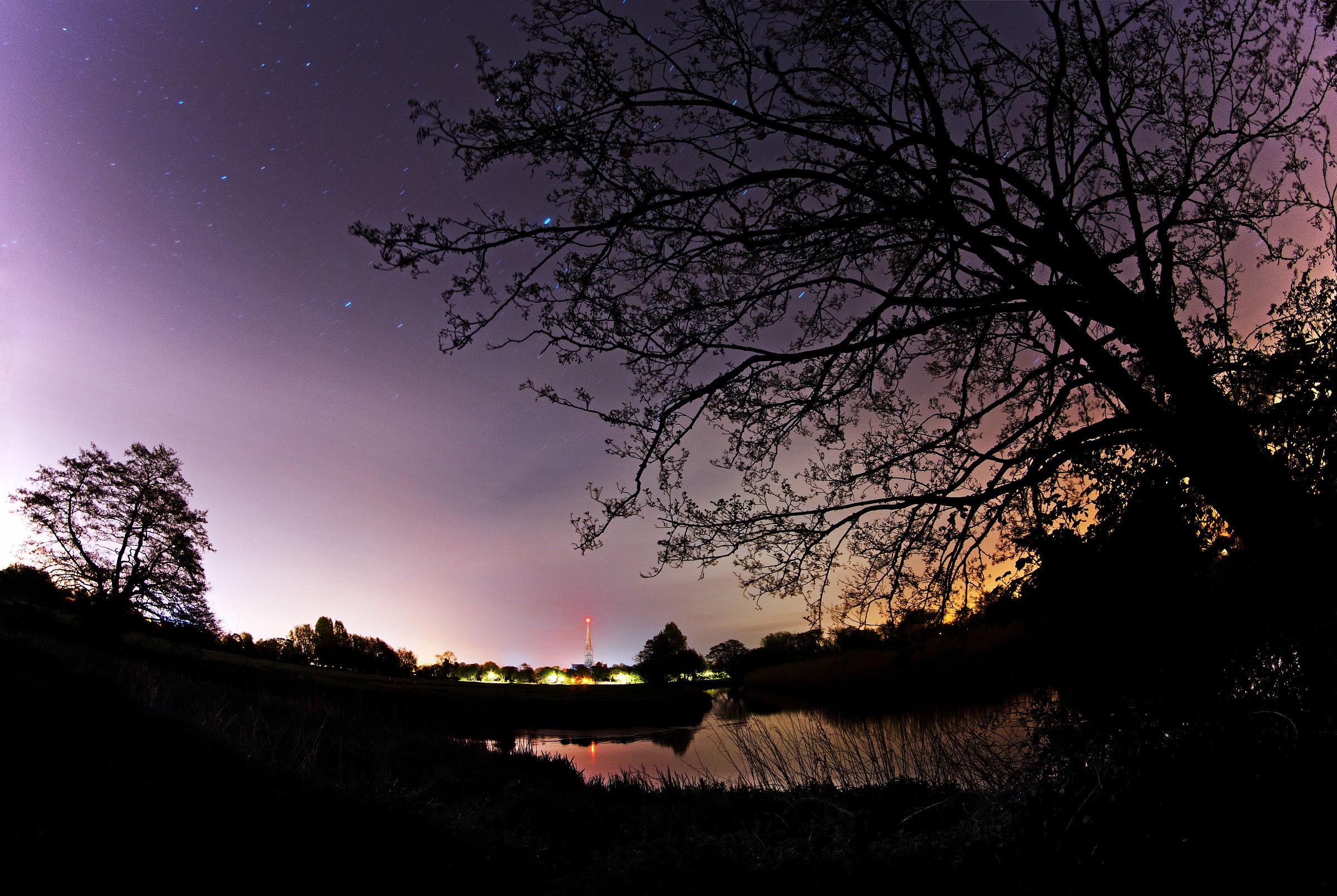 Cattedrale di Salisbury sotto l'albero