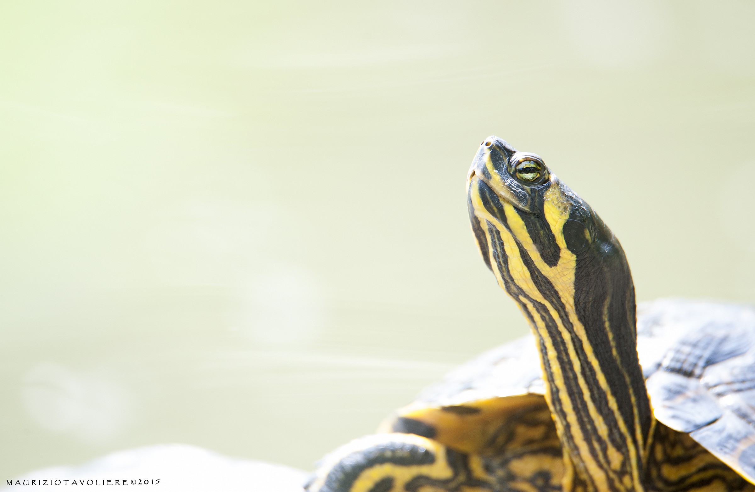 Sotto i raggi del sole !!