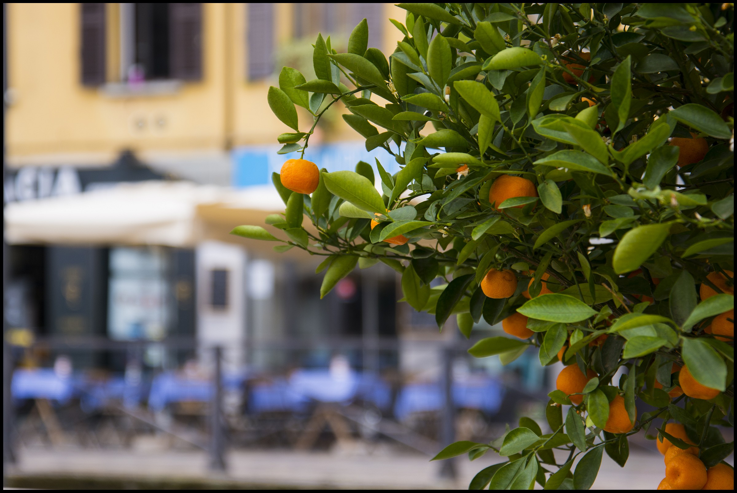 i colori del naviglio