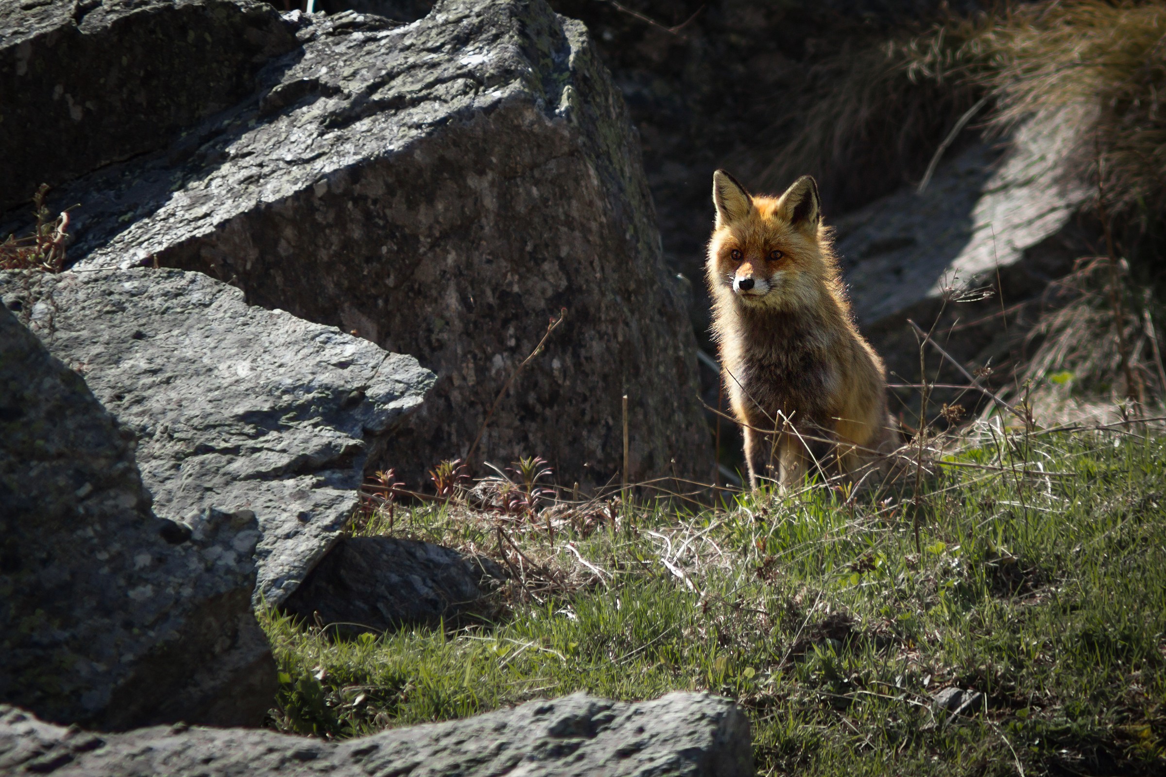 Sguardi che difficilmente scorderò