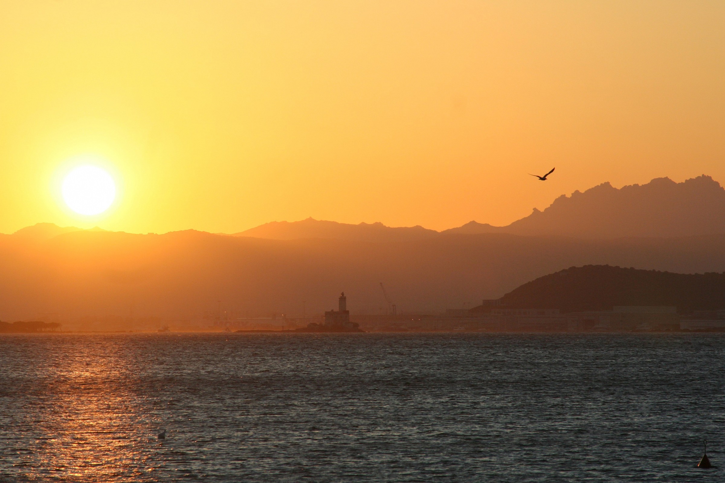 Tramonto sul faro con gabbiano