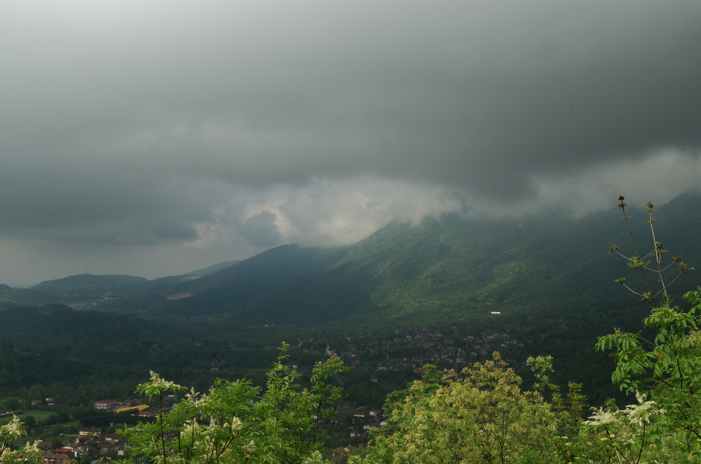 coltura vista dall'alto