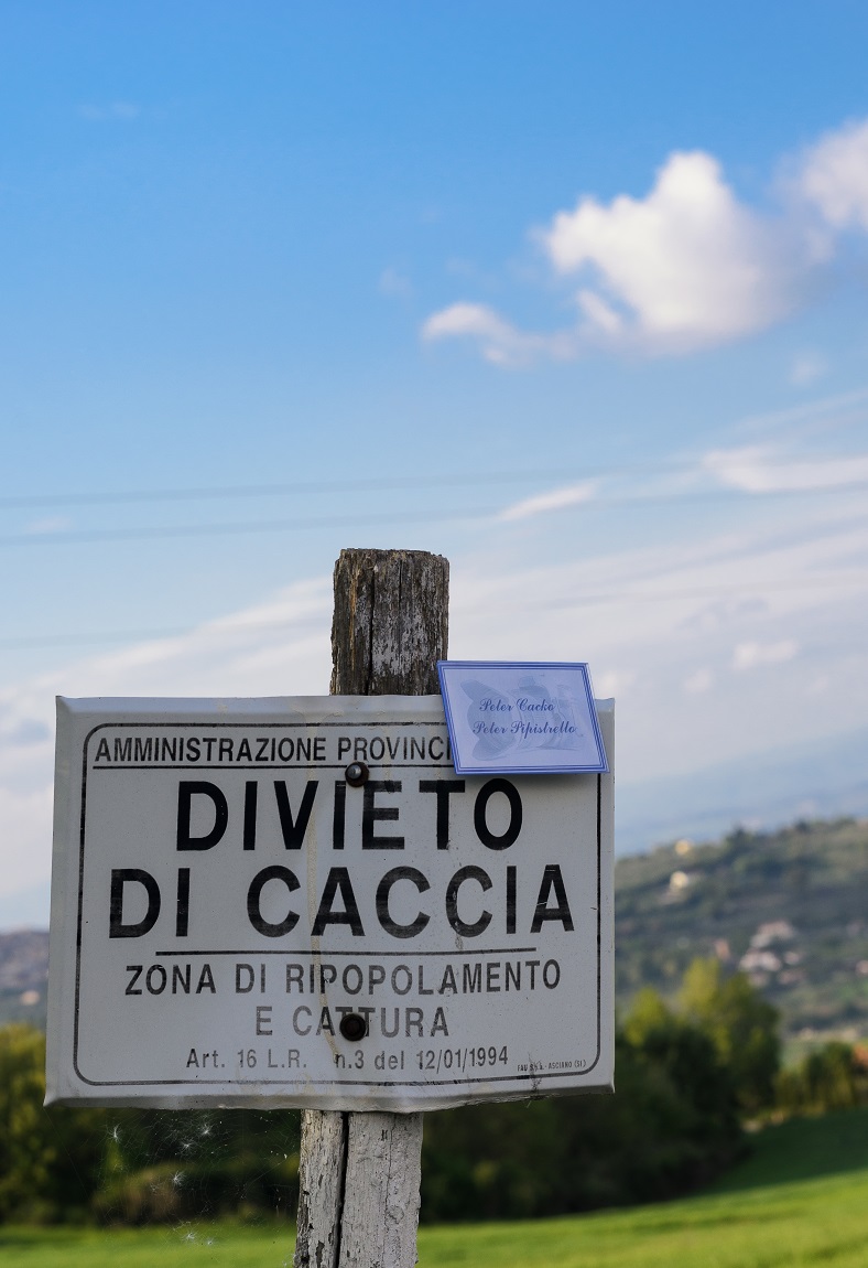 divieto di caccia pipistrelli in volo... :)