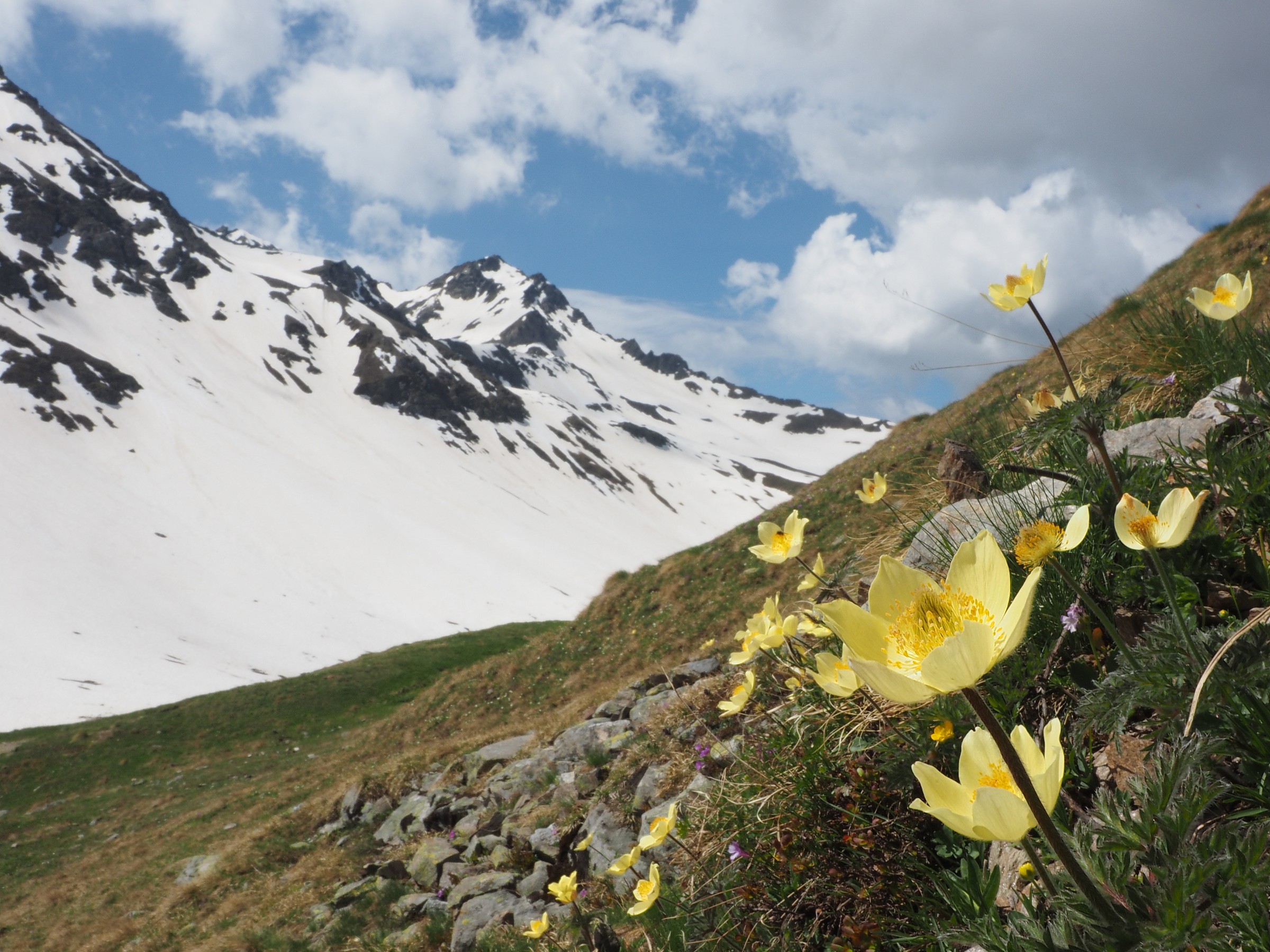 la primavera e l inverno