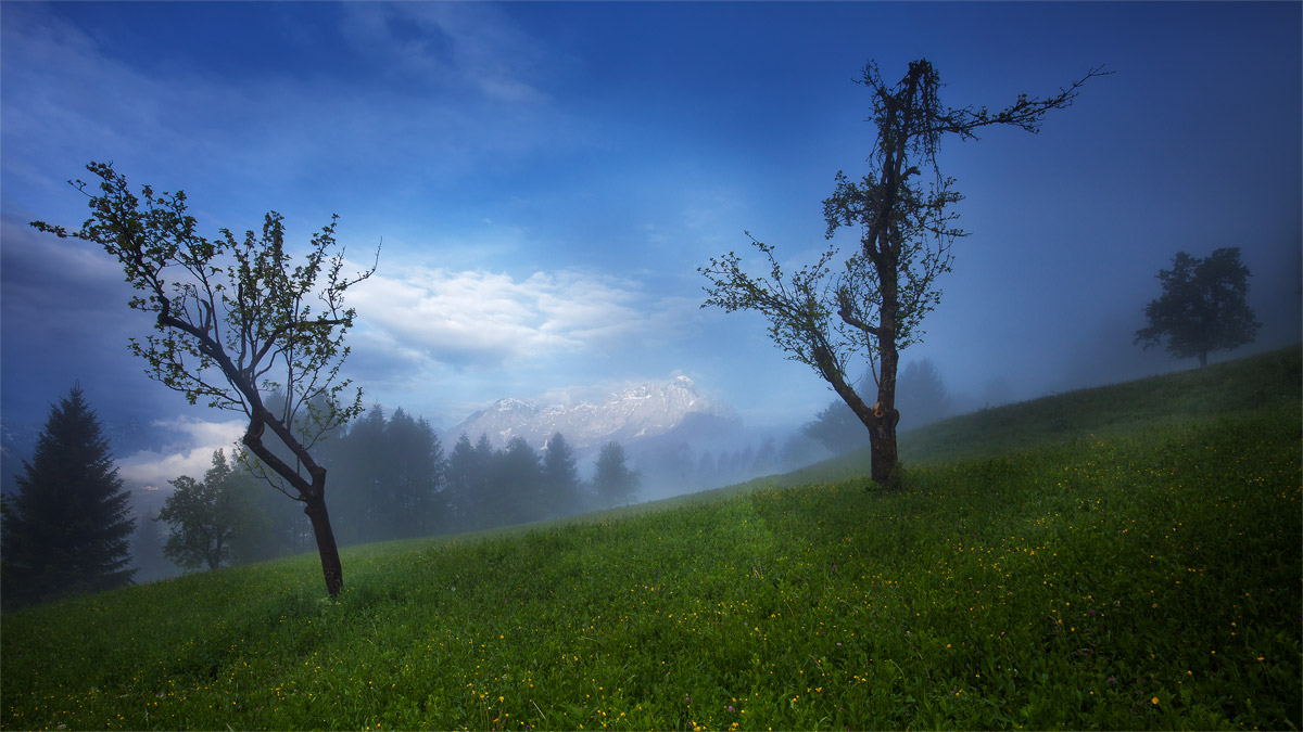 small steps towards the day