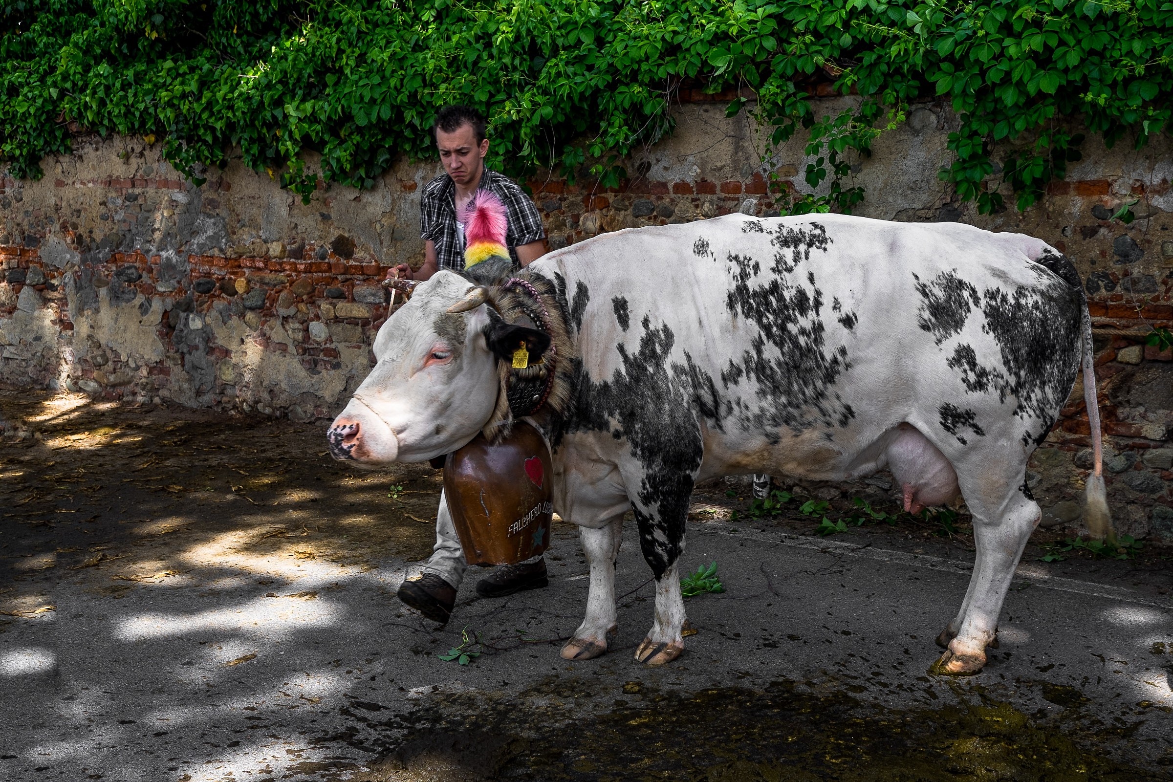 the winner is ..................