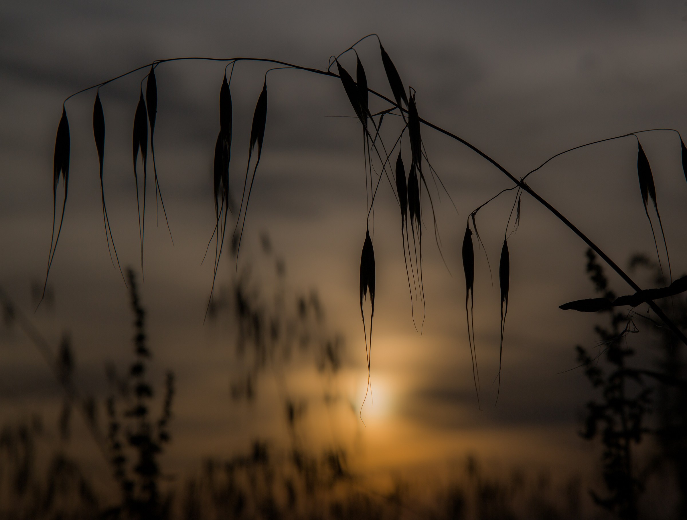 il tramonto visto dai piccoli