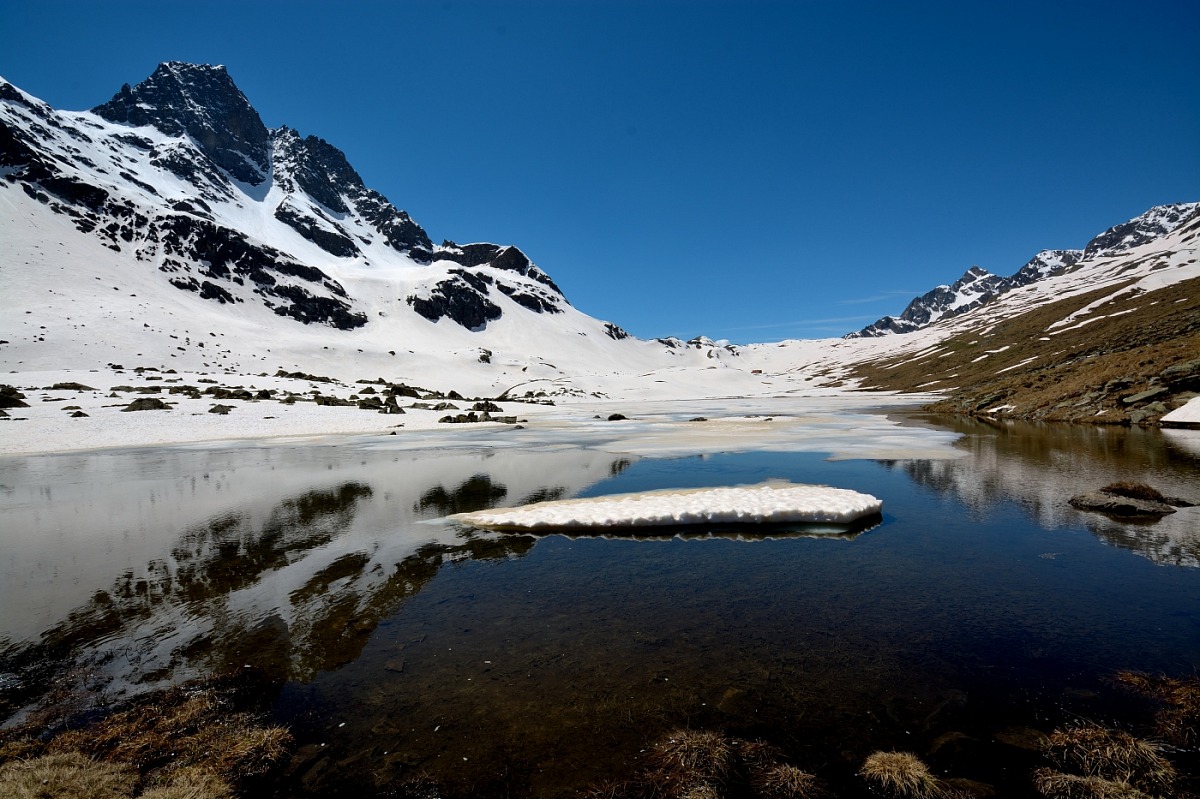 Reflections in the "purple"