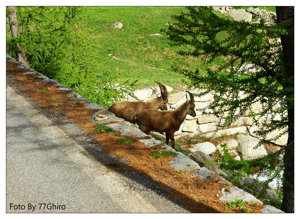 aspettando l ispirazione....