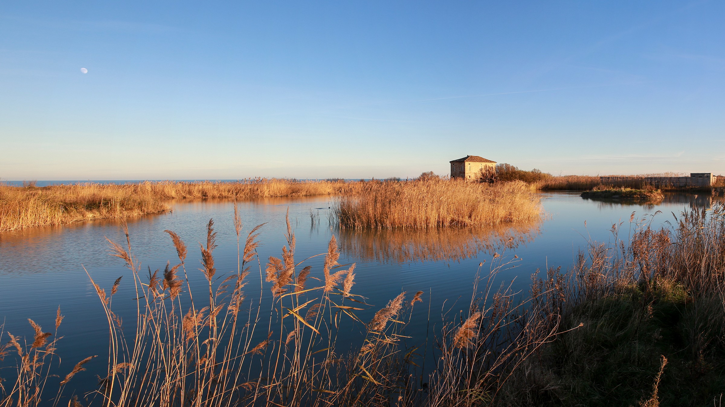 Laghetto nord della sentina