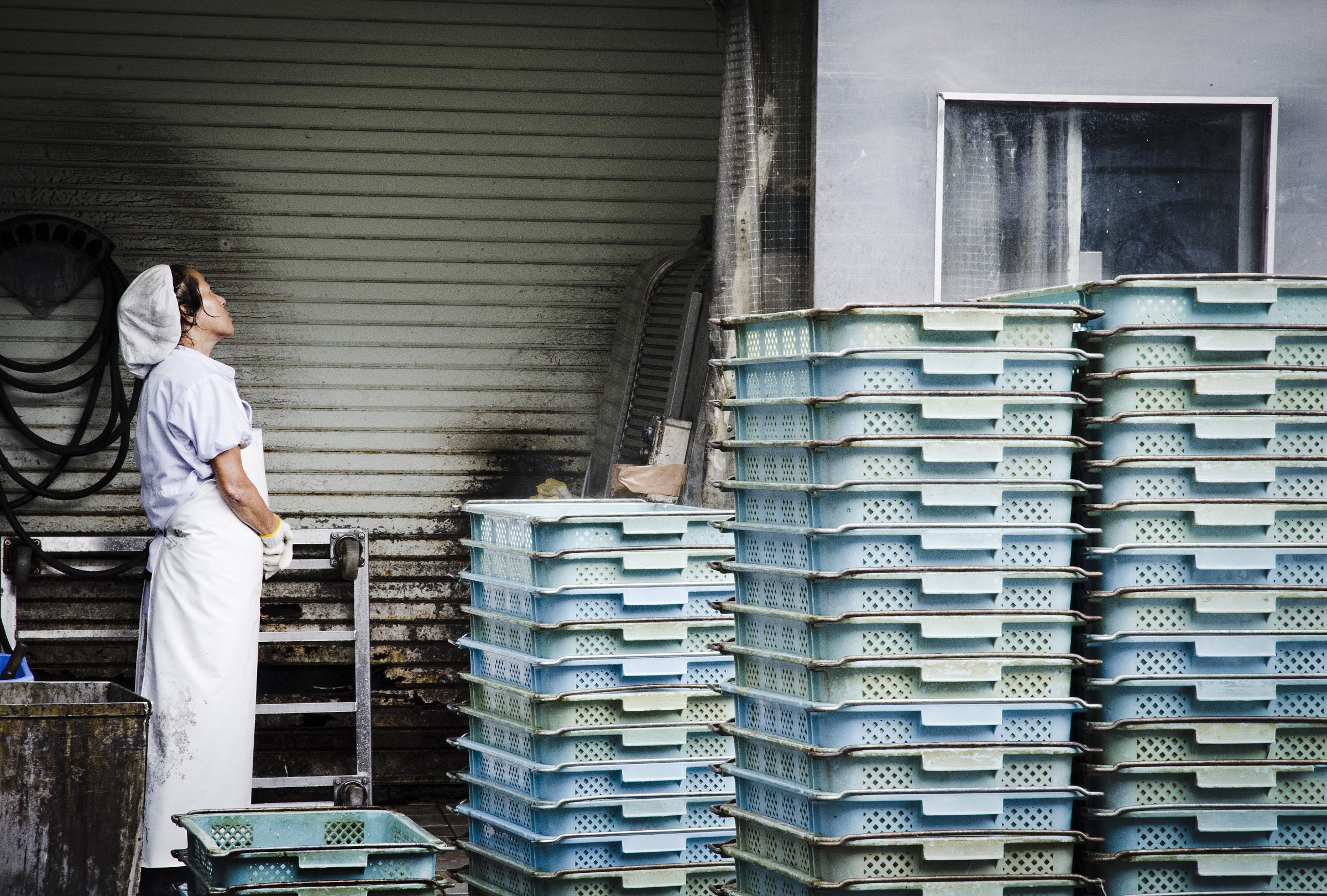 Tsukiji Market in Tokyo.