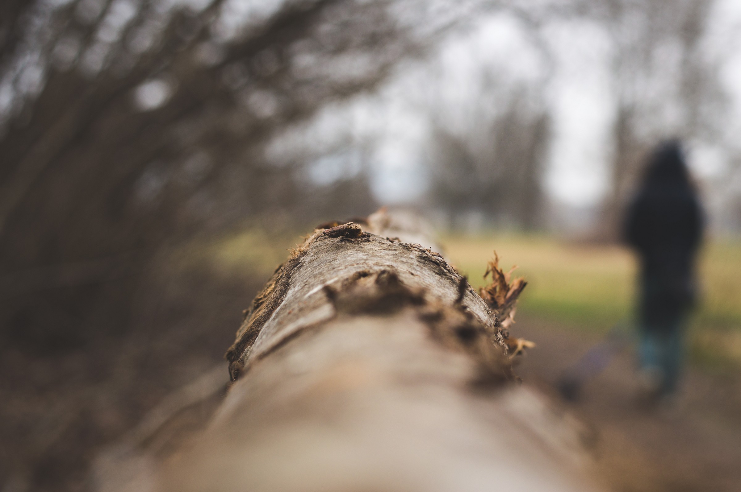 Un pomeriggio al parco