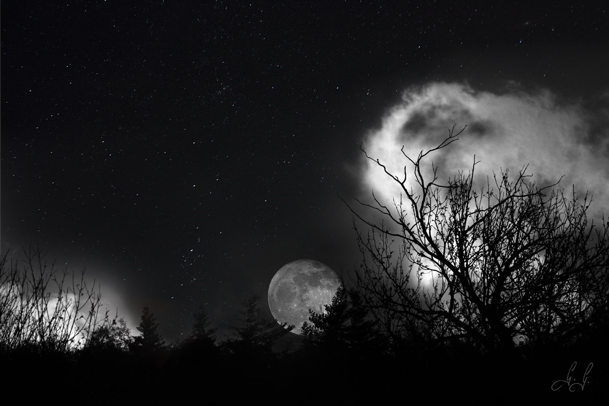 Al sorgere della Luna...