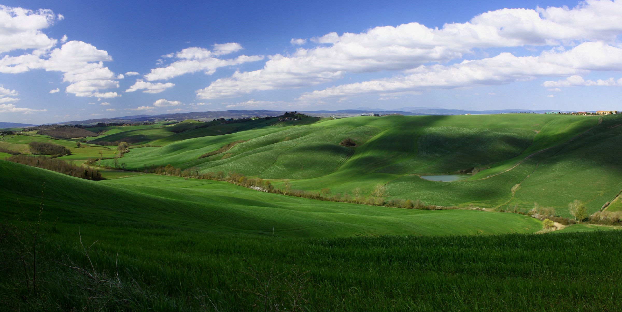 on the road to Asciano Siena