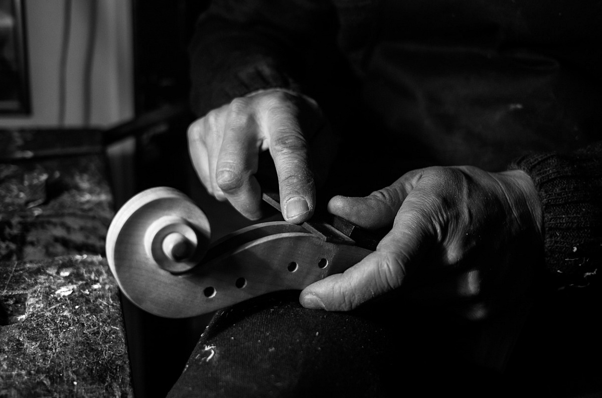 The curl of the violin