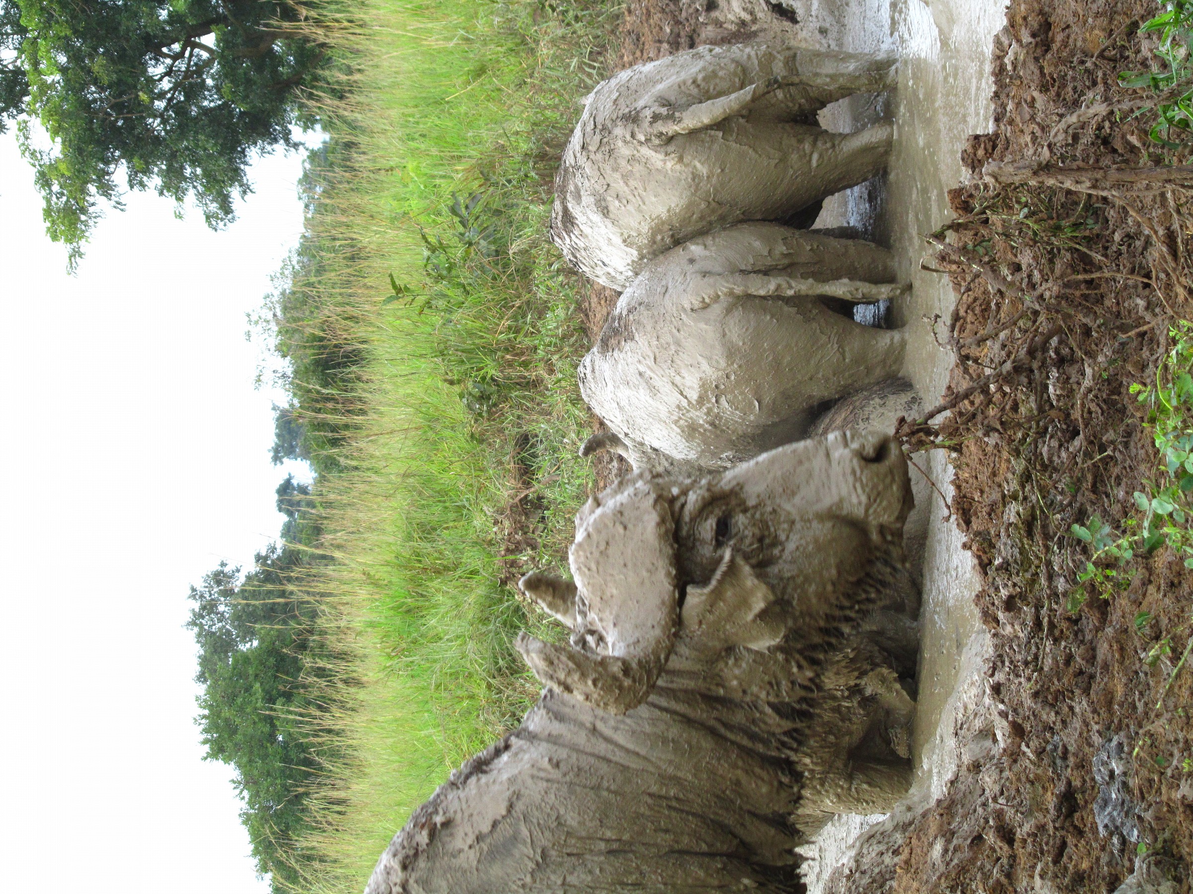 tre della sporca dozzina