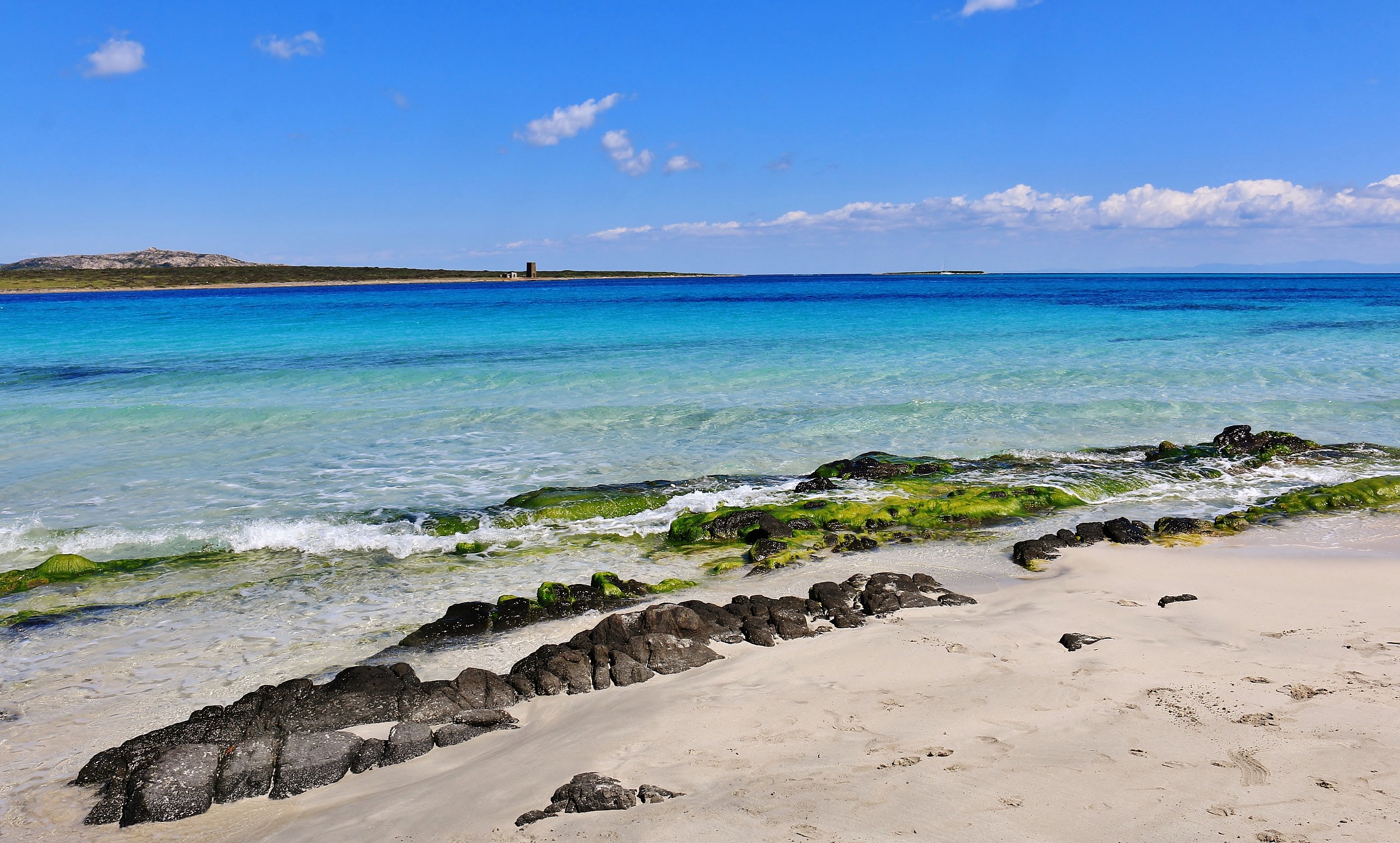 beach "the hairy" - stintino (ss)