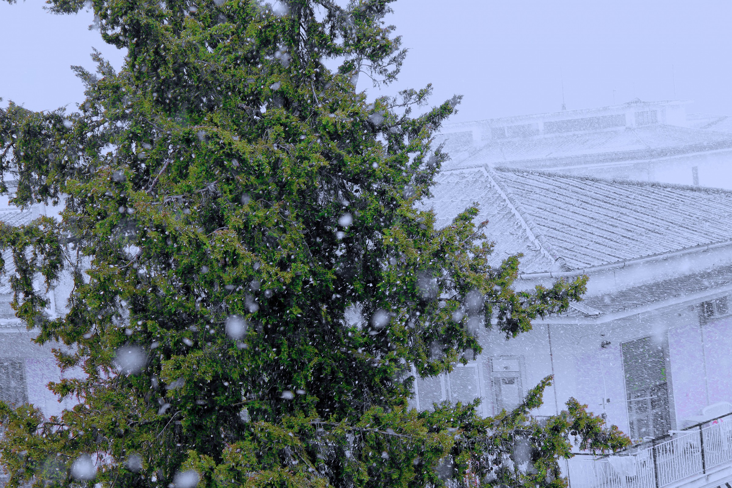 The snow does not care ..