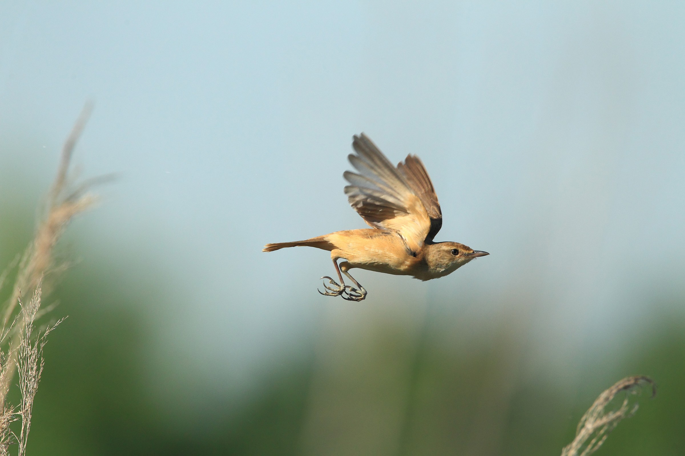 From barrel to barrel