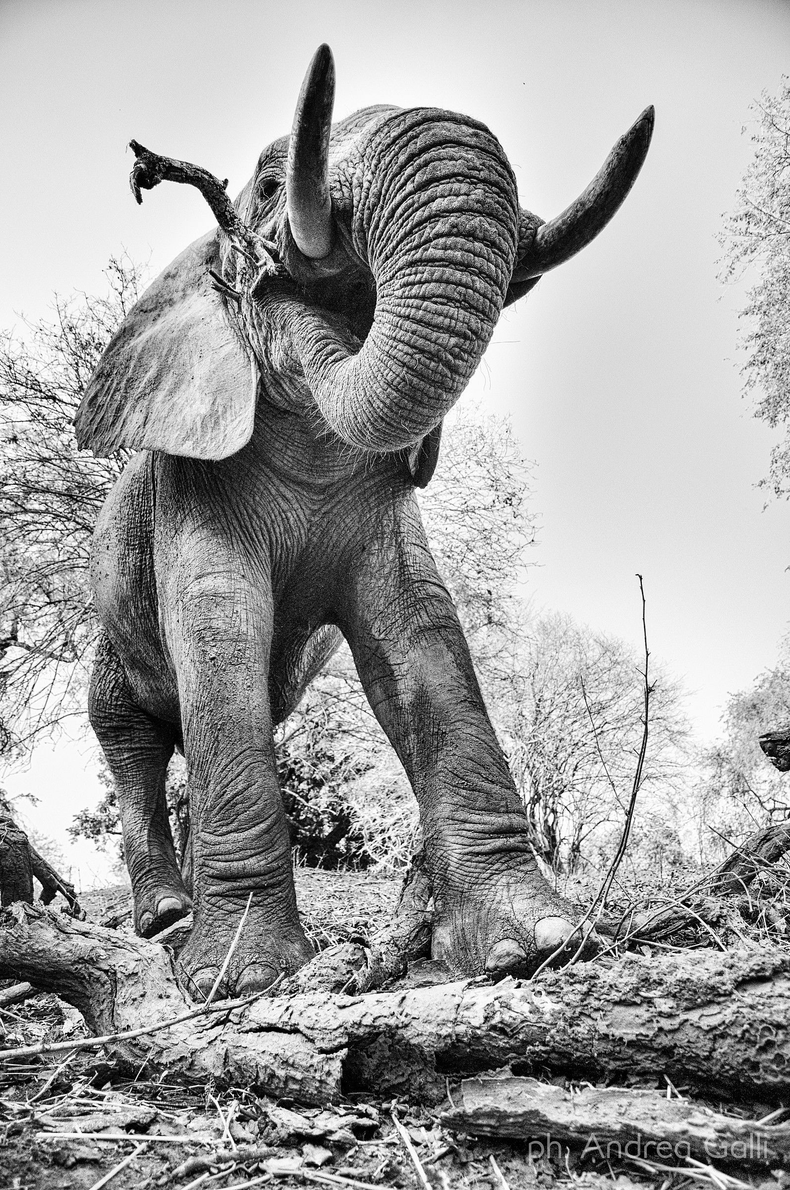 dobbiamo stare vicini vicini...