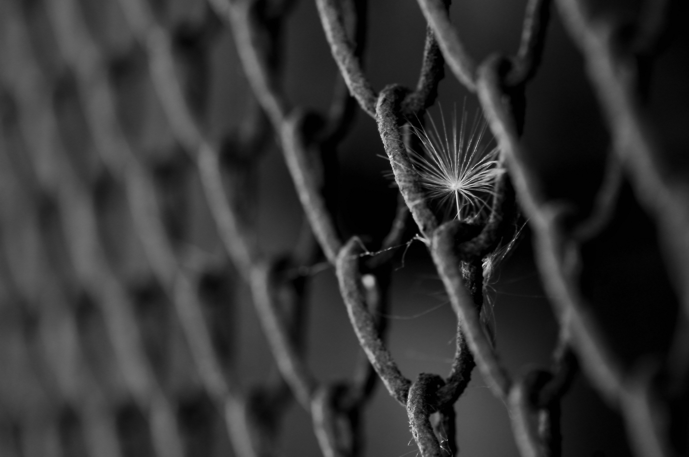 La prigione della libertà...