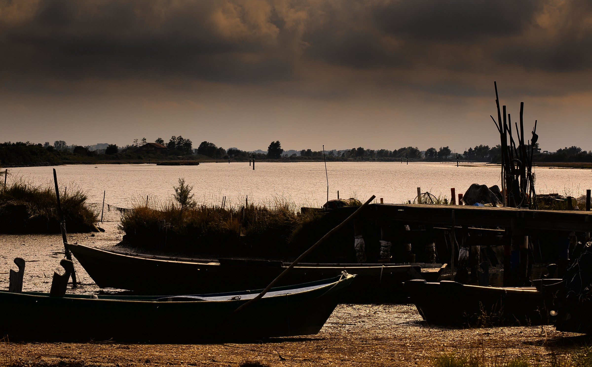 The Fleet of the Swamp