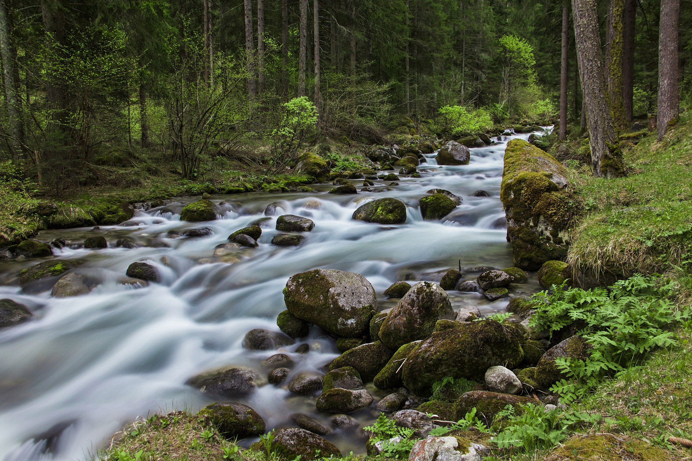 Torrente Meledrio - Dimaro - Trentino