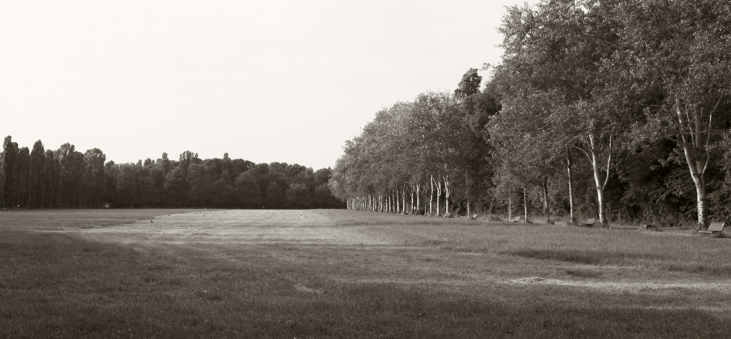 Luci strane al Parco Nord