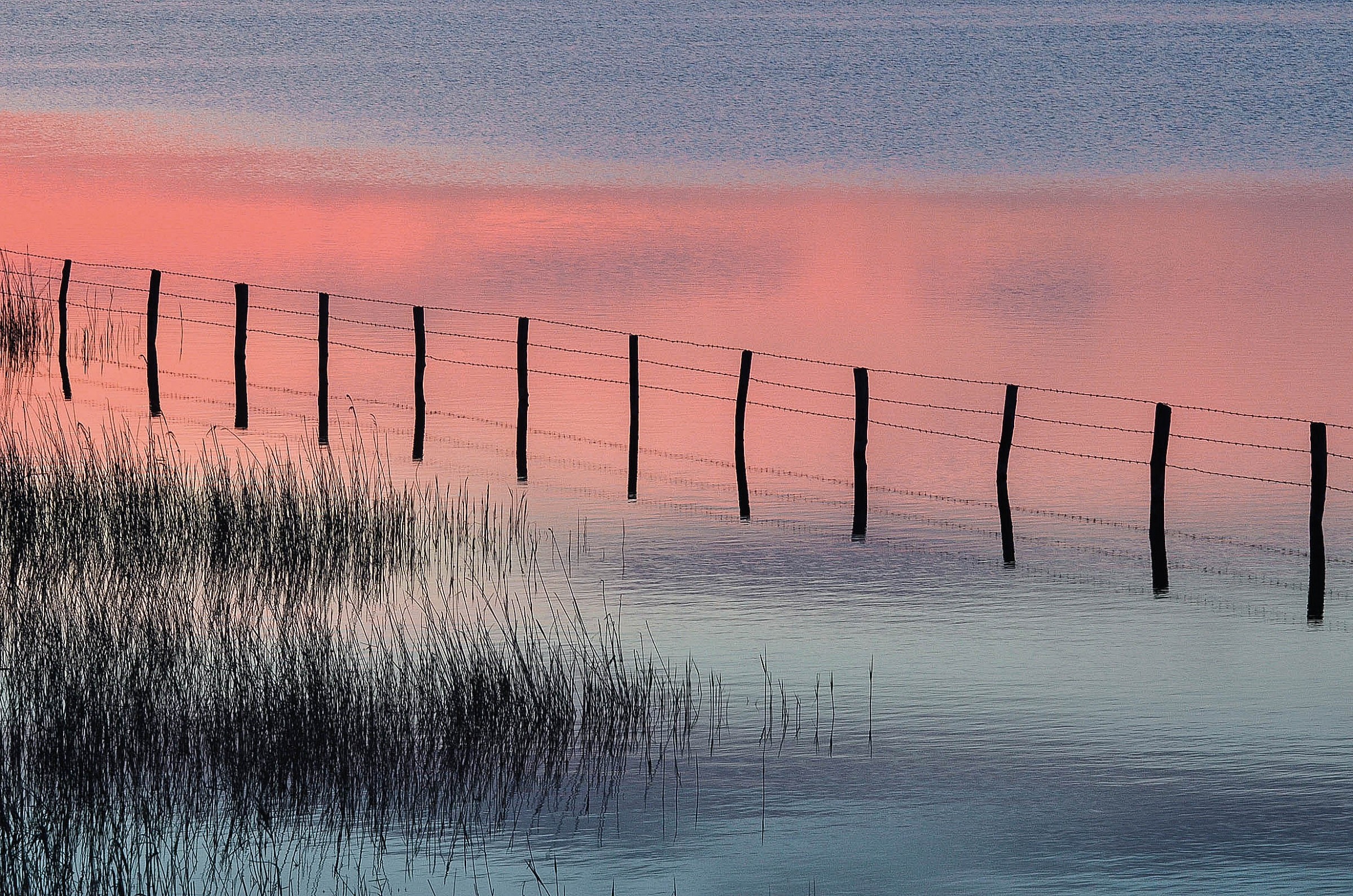 Recinzione nel Po di Levante
