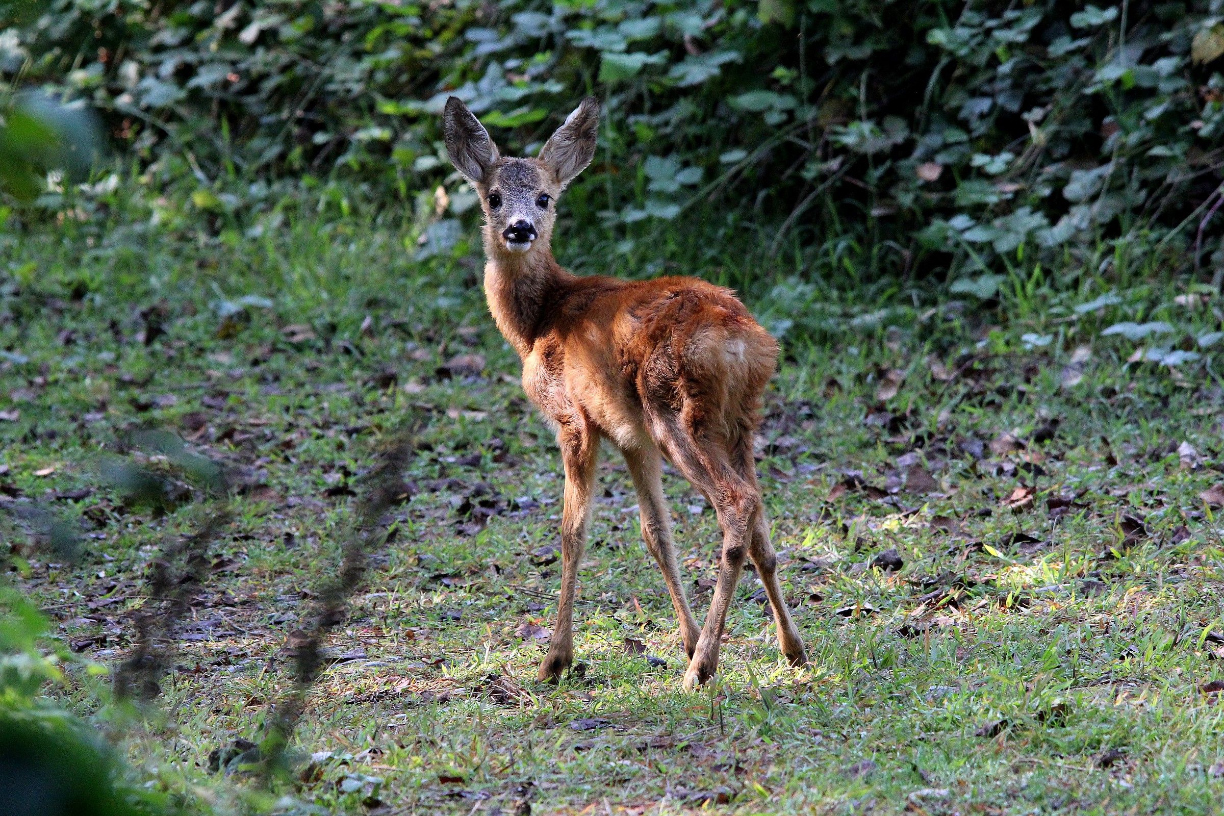 Un incontro inaspettato